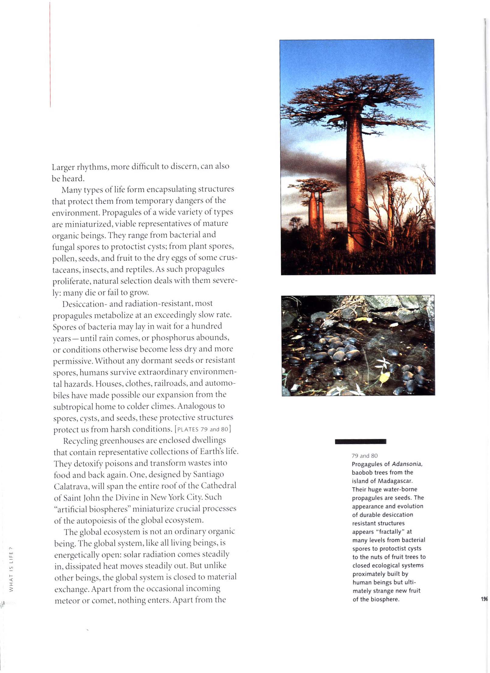 WHAT IS LIFE? sisc6108t